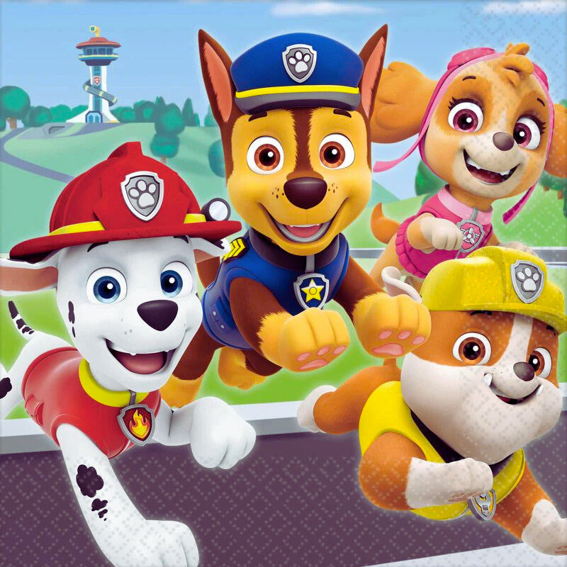 Paw Patrol party Collection