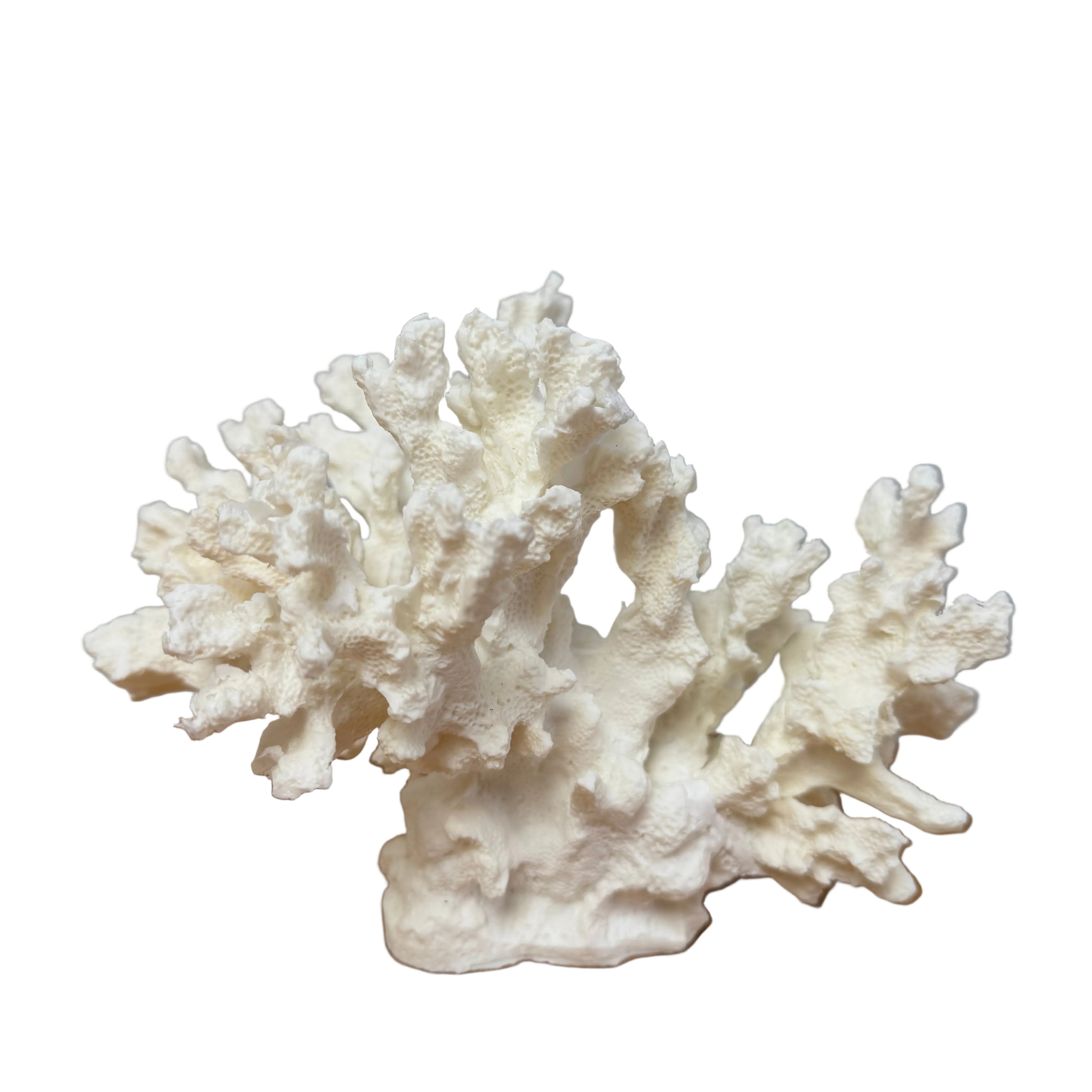 White coral sculpture on a wooden surface with a gray background